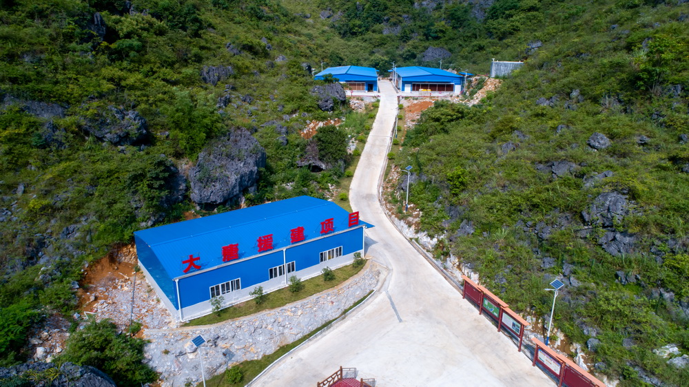 1678857319577037192.jpg 开云官方在线登录入口援建的七百弄鸡种鸡育种场--黄嘉标摄1.jpg